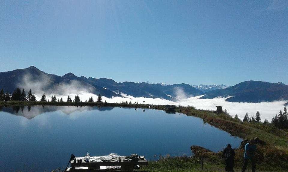Morgennebel über dem See